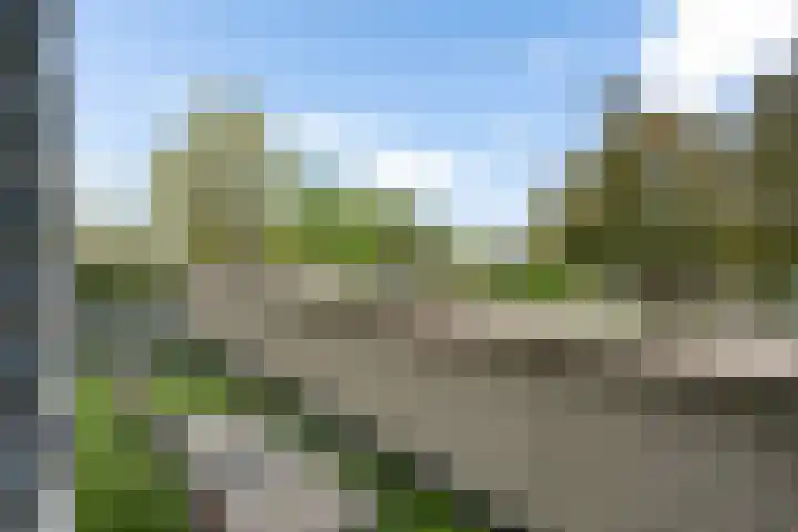 Dreessingel 30 Zwolle thumbnail 32