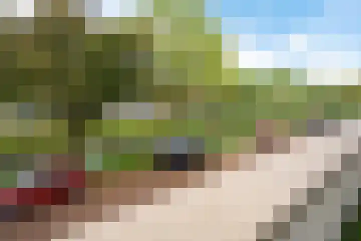 Dreessingel 30 Zwolle thumbnail 46