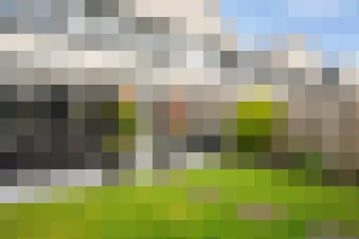 Dreessingel 30 Zwolle thumbnail 53