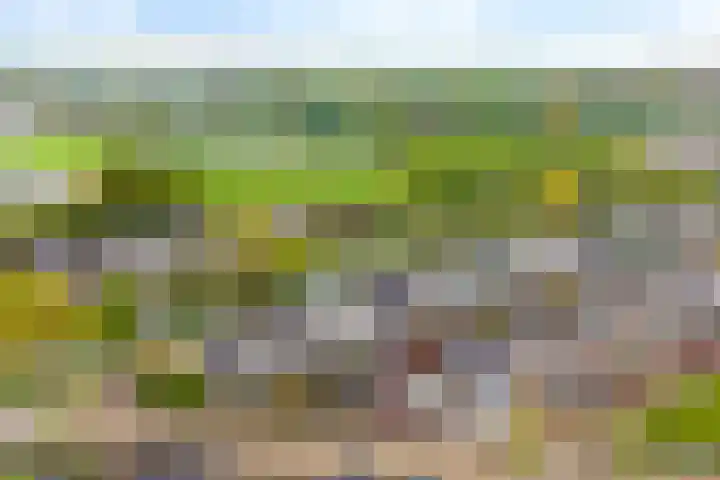 Dreessingel 30 Zwolle thumbnail 56