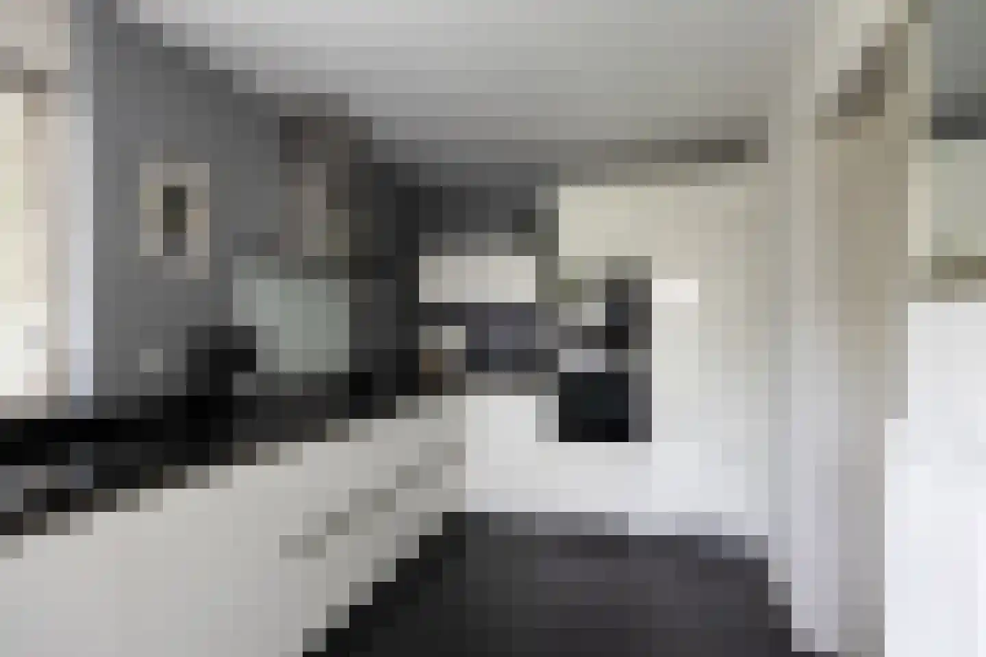 Dreessingel 77 Zwolle thumbnail 14