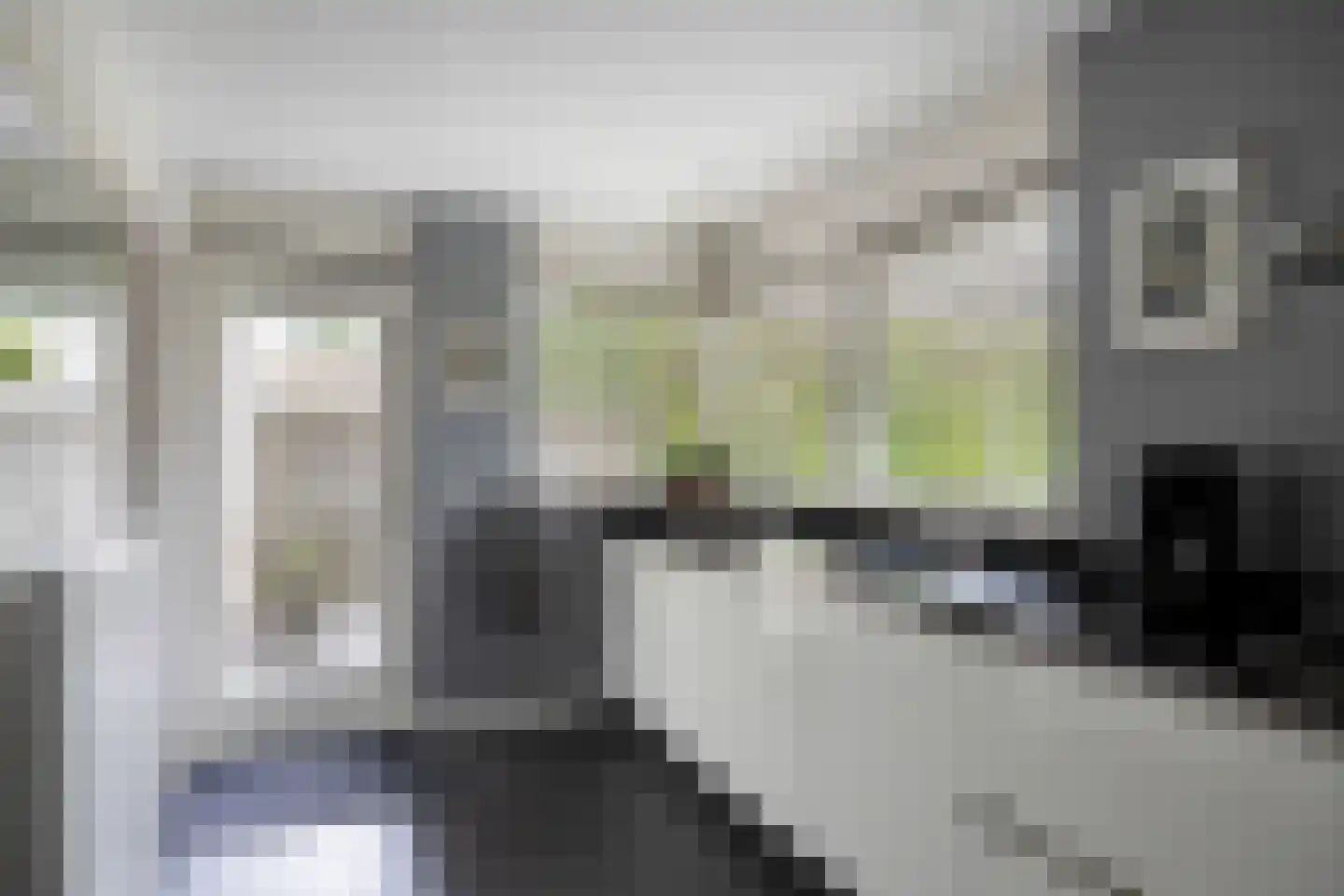 Dreessingel 77 Zwolle thumbnail 15