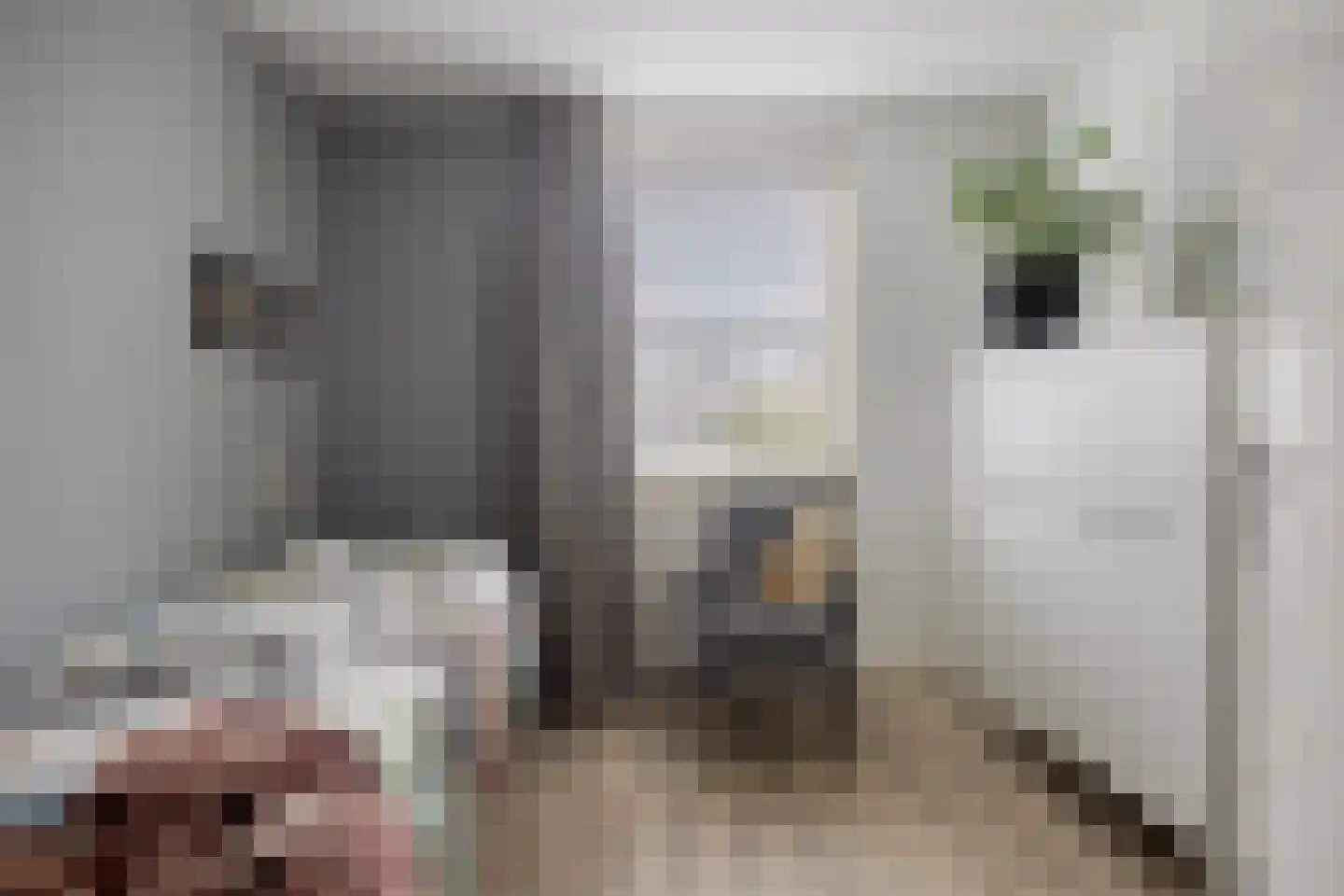 Dreessingel 77 Zwolle thumbnail 25