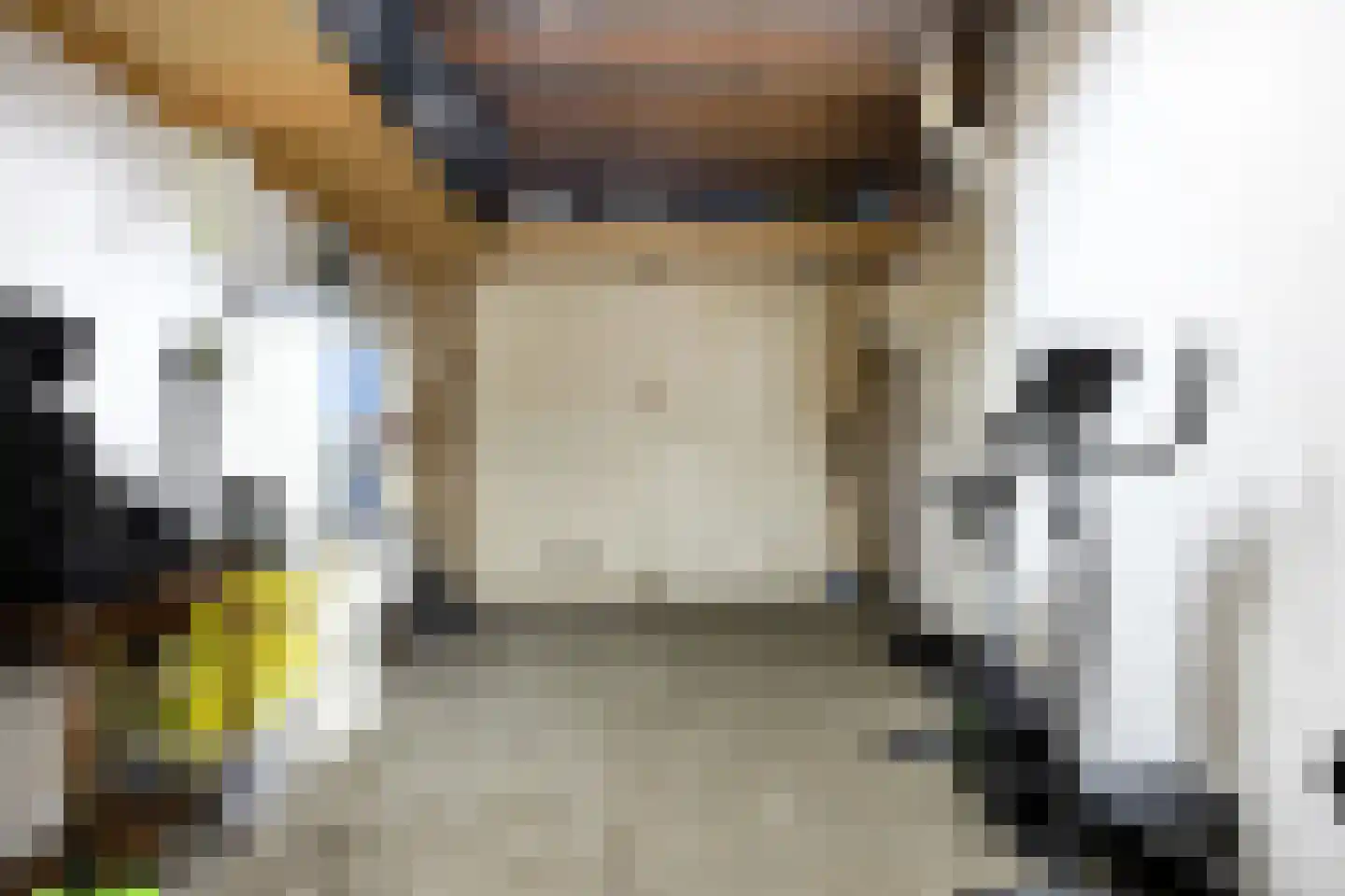 Dreessingel 77 Zwolle thumbnail 33