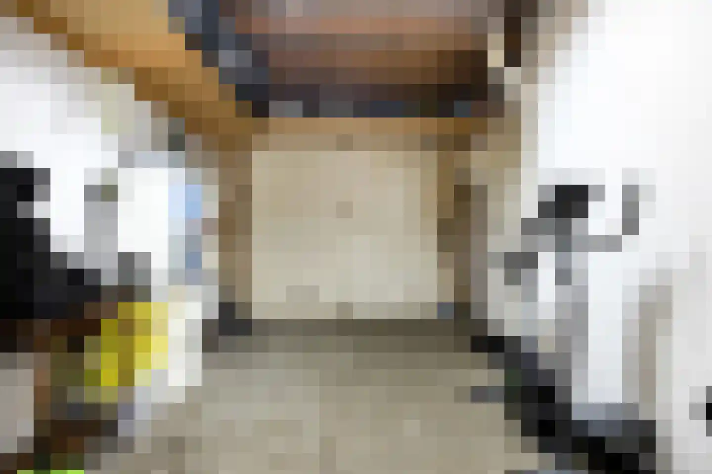 Dreessingel 77 Zwolle thumbnail 38
