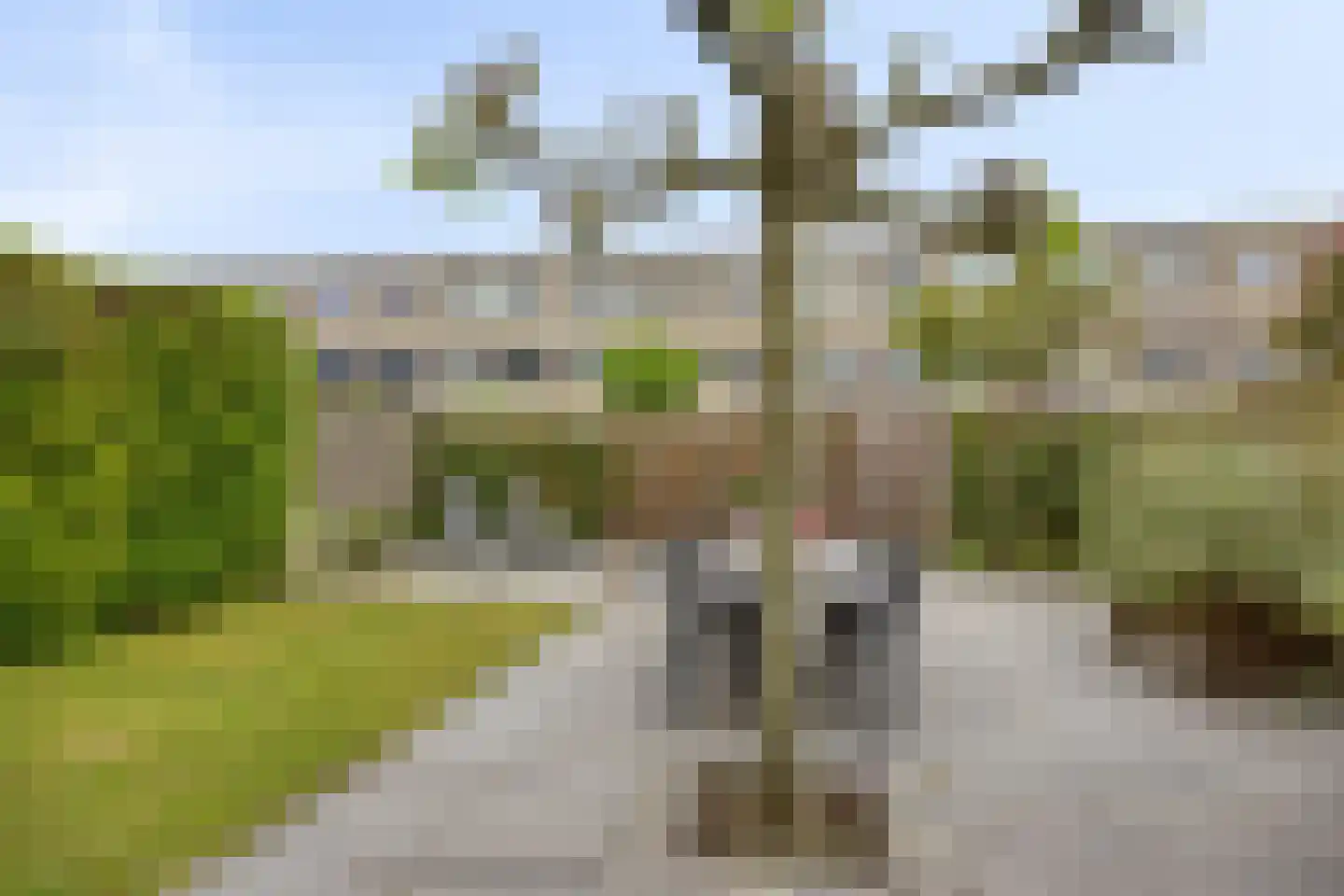 Dreessingel 77 Zwolle thumbnail 42