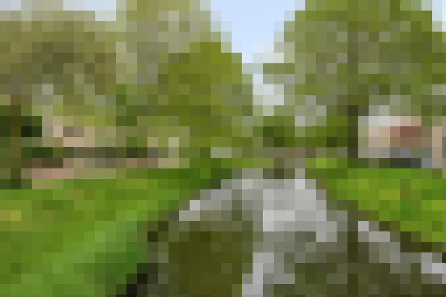 Dreessingel 77 Zwolle thumbnail 44