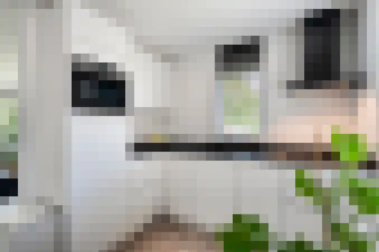 Dreessingel 92 Zwolle thumbnail 10