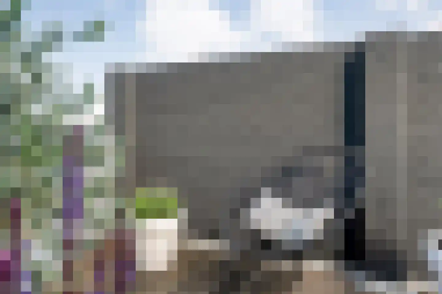 Dreessingel 92 Zwolle thumbnail 17