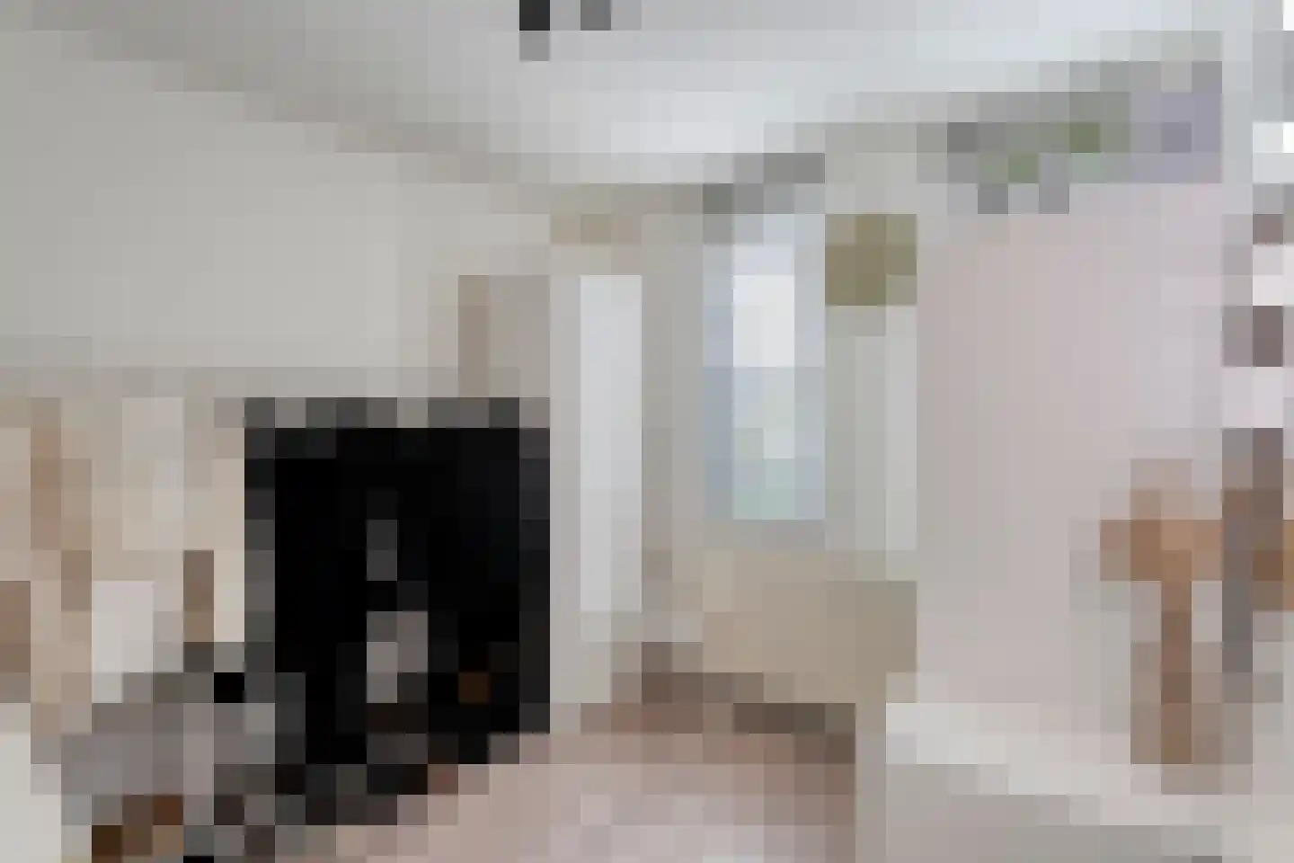 Dreessingel 92 Zwolle thumbnail 20