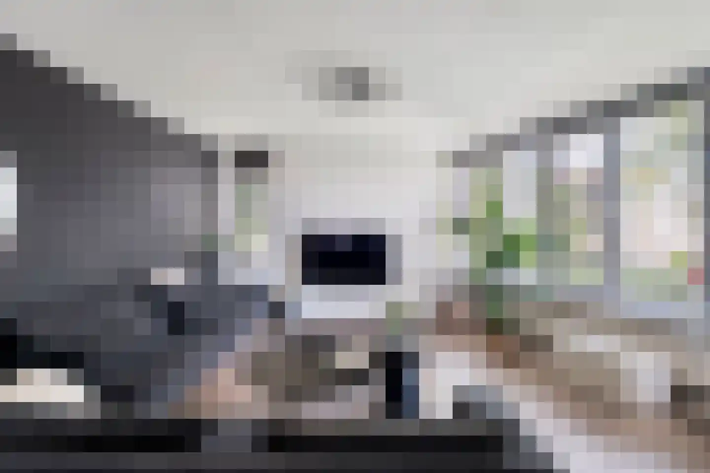 Dreessingel 92 Zwolle thumbnail 5