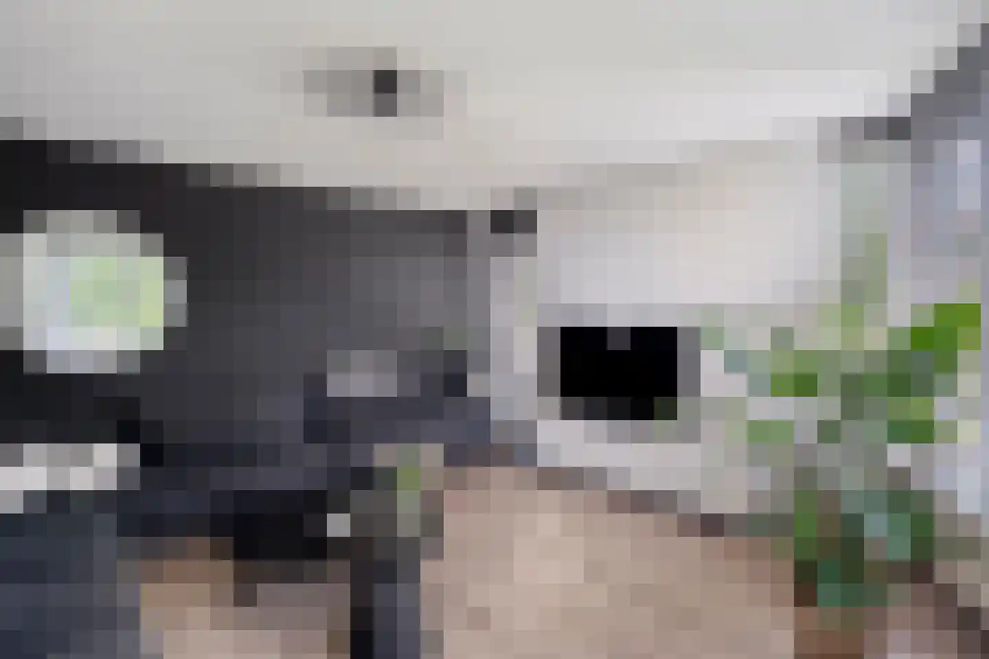 Dreessingel 92 Zwolle thumbnail 7