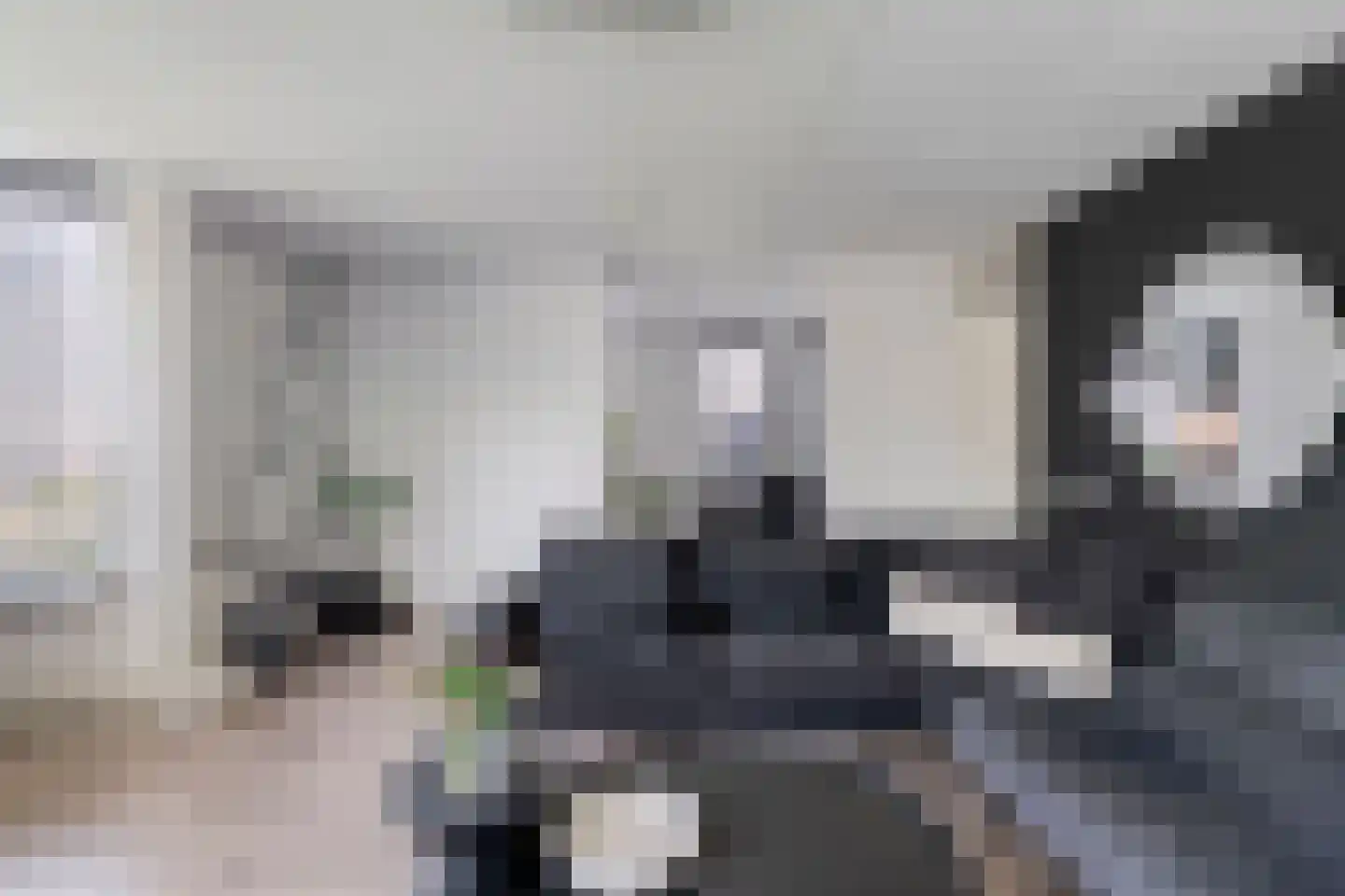 Dreessingel 92 Zwolle thumbnail 8