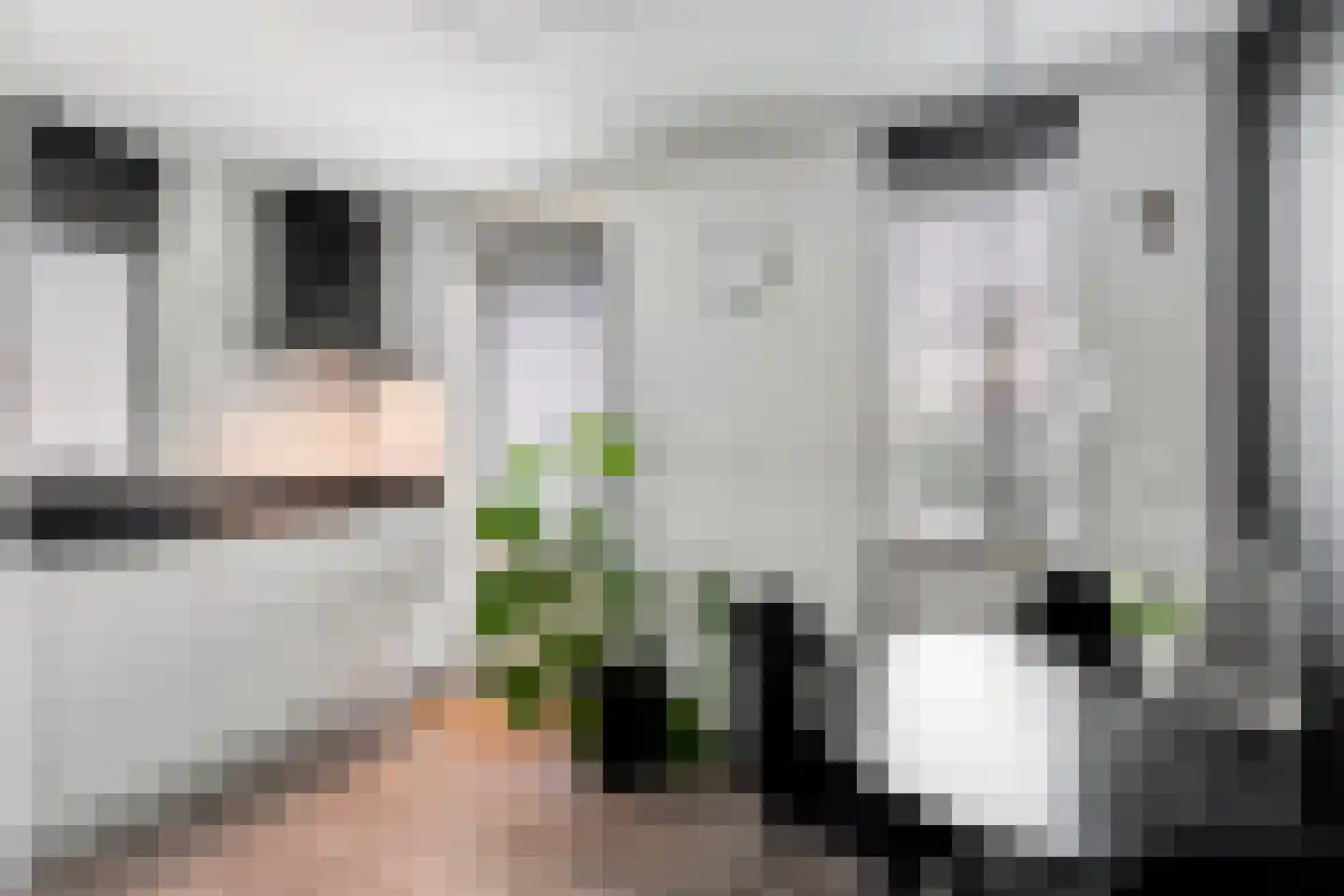 Dreessingel 92 Zwolle thumbnail 9