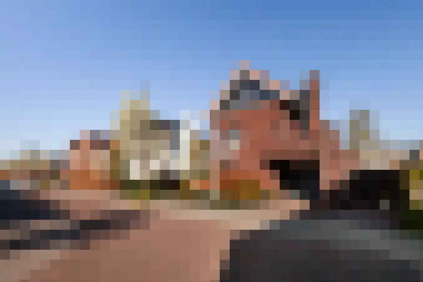 Dreesstraat 1 Hardinxveld-Giessendam thumbnail 4