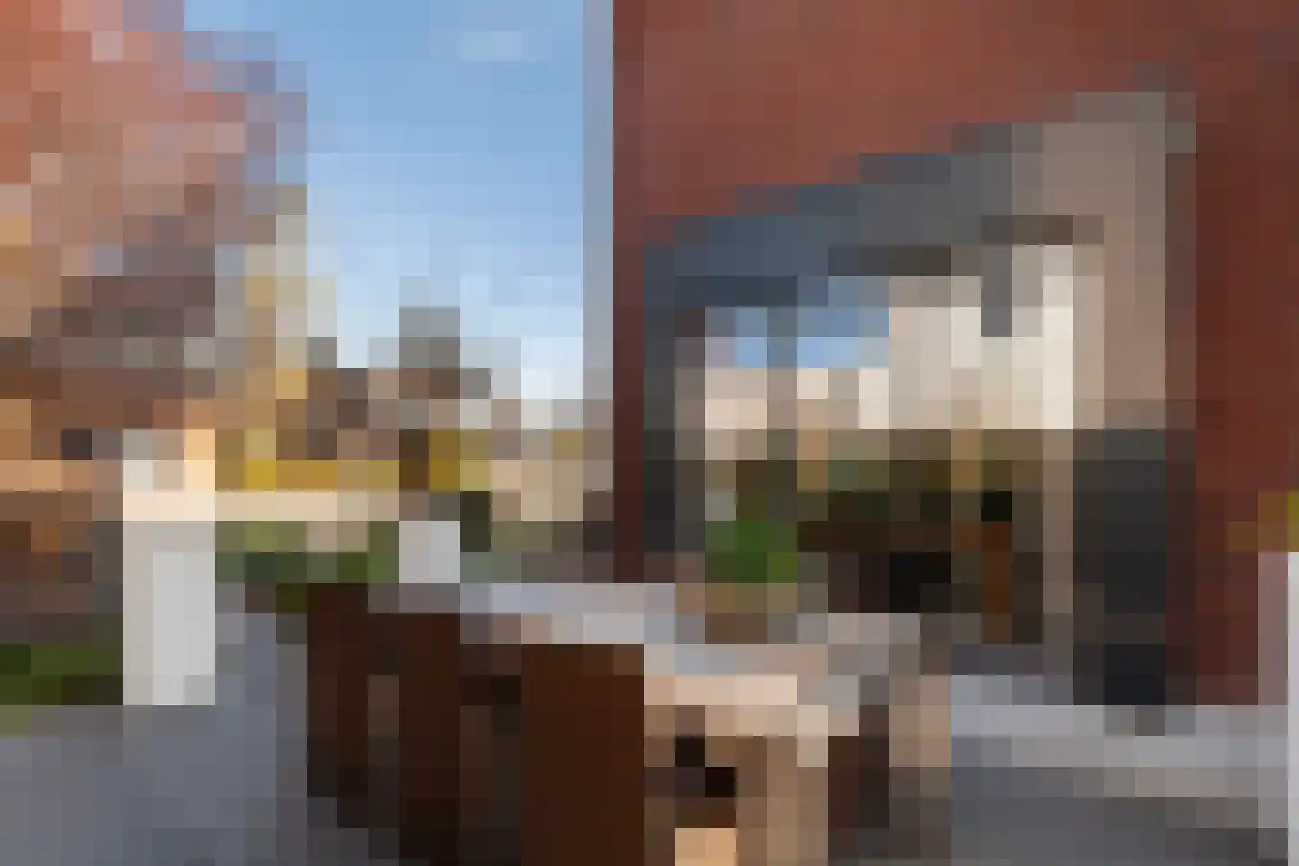 Dreesstraat 1 Hardinxveld-Giessendam thumbnail 41