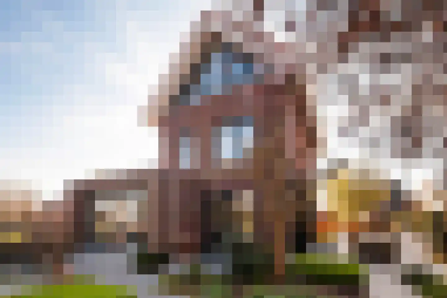 Dreesstraat 1 Hardinxveld-Giessendam thumbnail 44