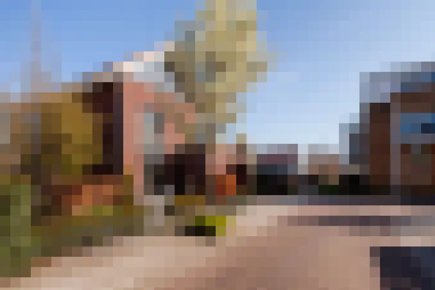 Dreesstraat 1 Hardinxveld-Giessendam thumbnail 50