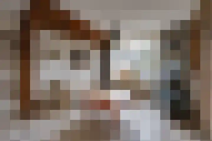 Dreesstraat 11 Rijen thumbnail 12