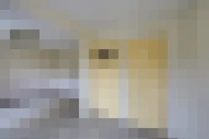 Dreesstraat 11 Rijen thumbnail 25