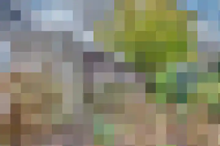 Dreesstraat 11 Rijen thumbnail 44