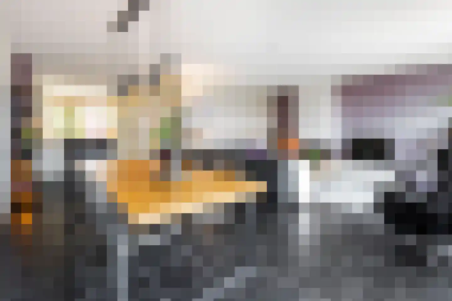 Dreesstraat 19 Hardinxveld-Giessendam thumbnail 10