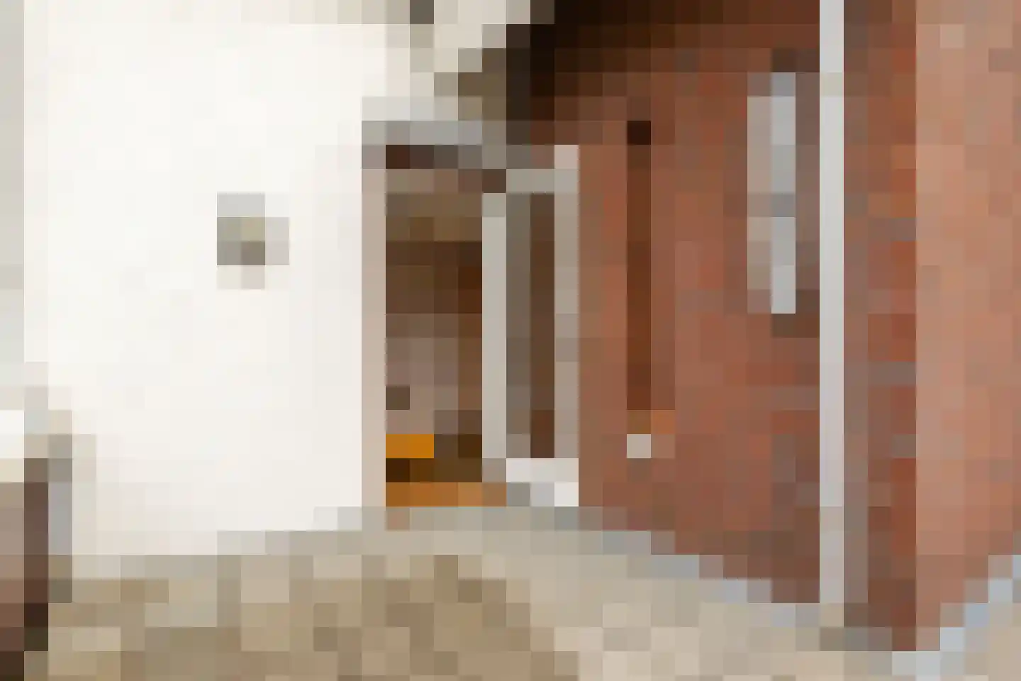 Dreesstraat 19 Hardinxveld-Giessendam thumbnail 17
