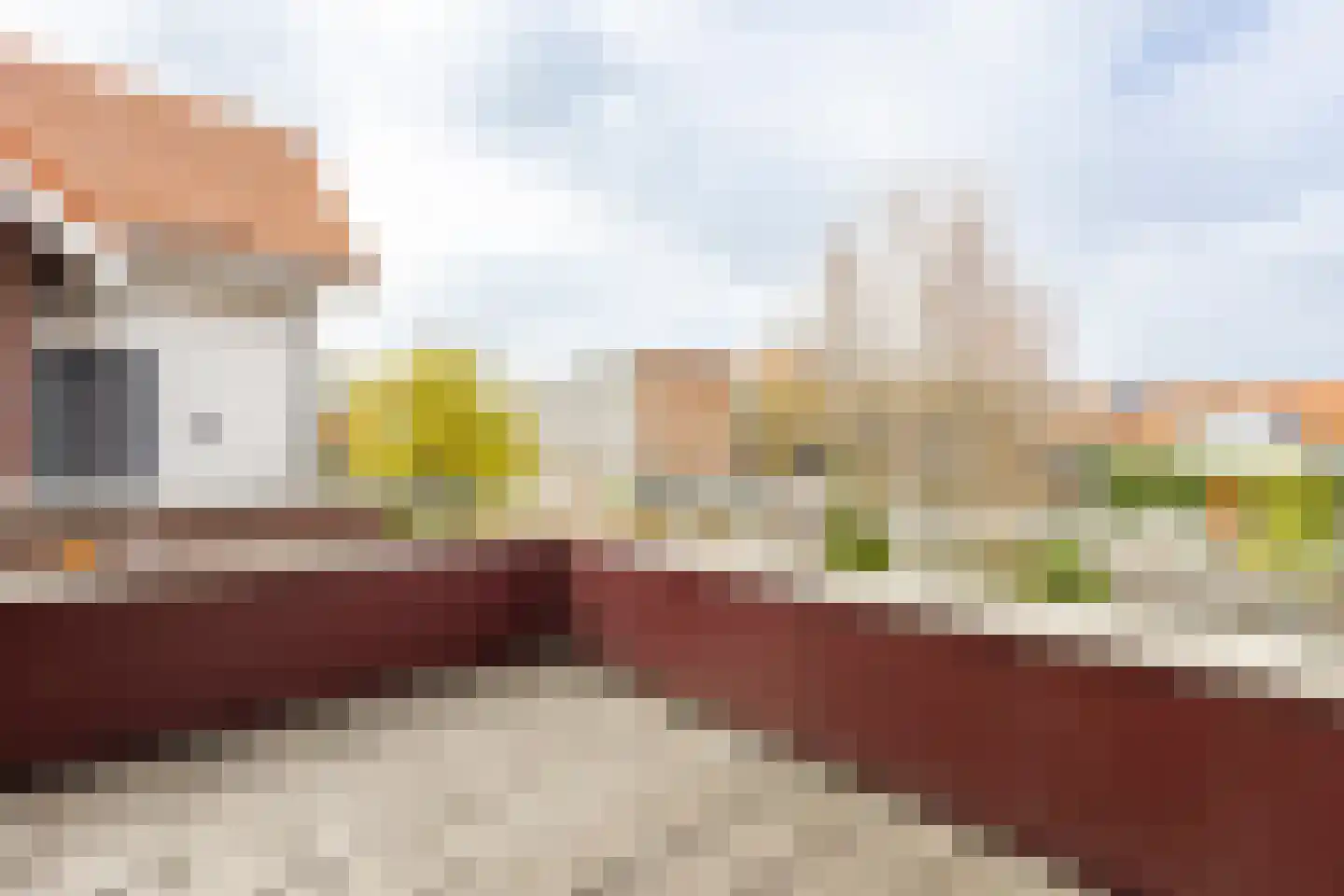 Dreesstraat 19 Hardinxveld-Giessendam thumbnail 18