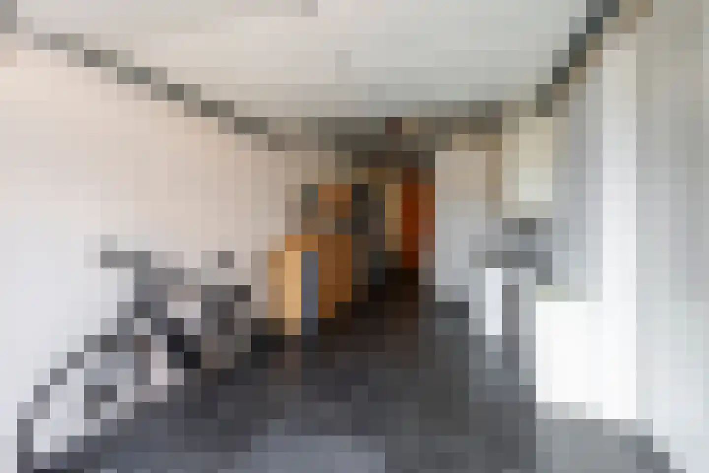 Dreesstraat 19 Hardinxveld-Giessendam thumbnail 33