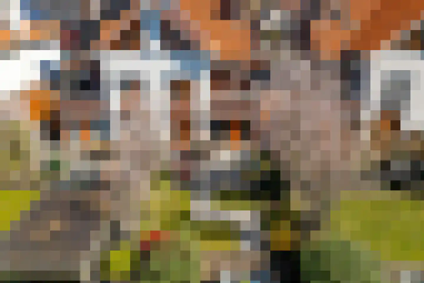 Dreesstraat 19 Hardinxveld-Giessendam thumbnail 35