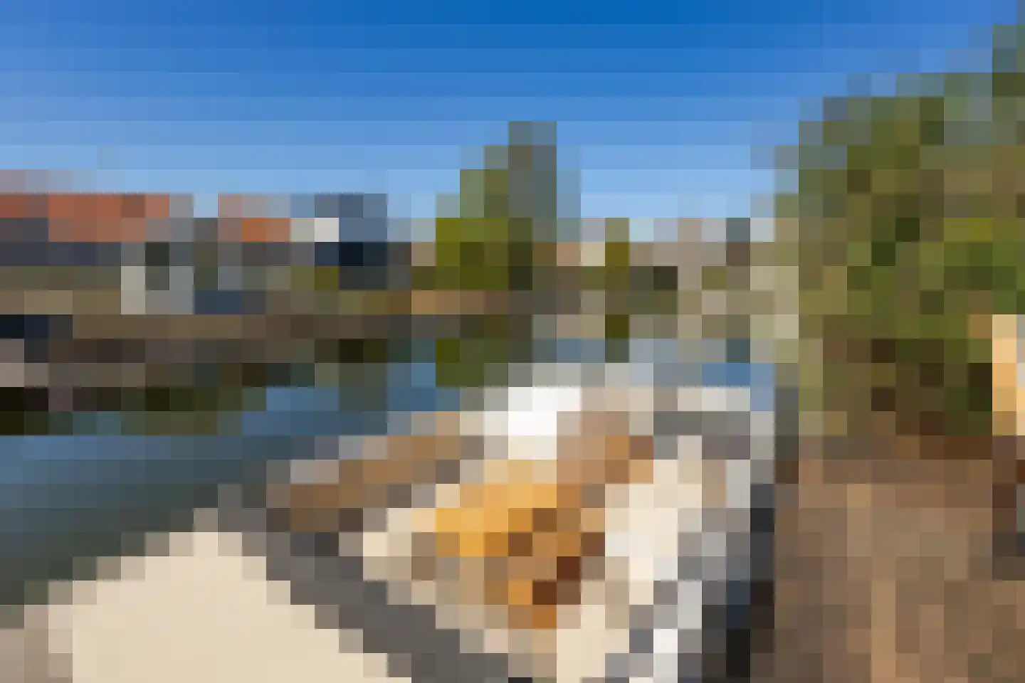 Dreesstraat 19 Hardinxveld-Giessendam thumbnail 37