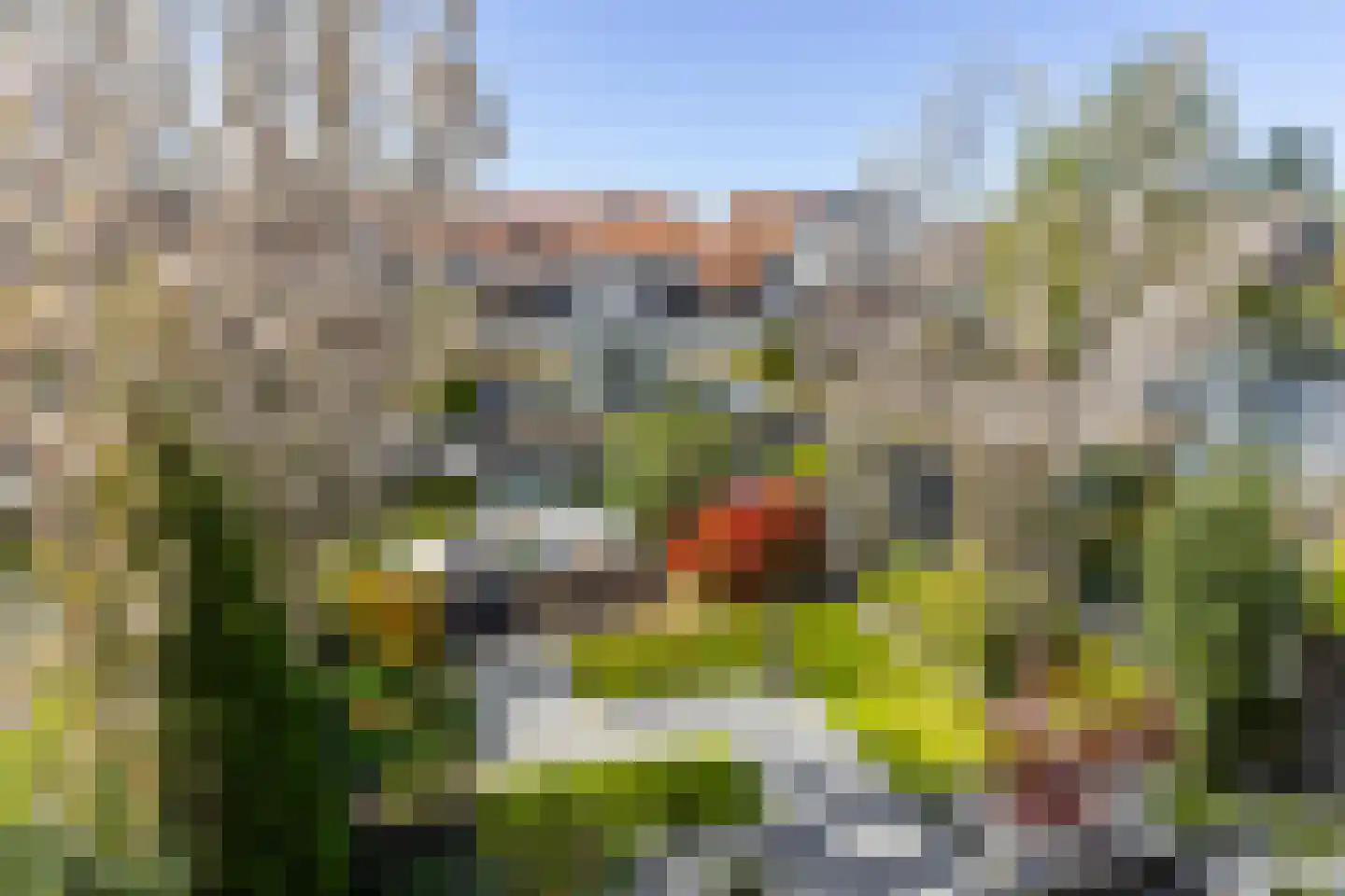 Dreesstraat 19 Hardinxveld-Giessendam thumbnail 45