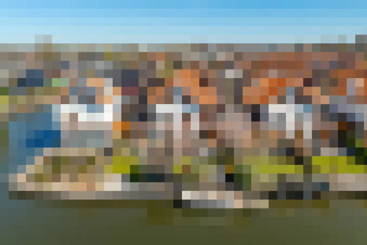 Dreesstraat 19 Hardinxveld-Giessendam thumbnail 50