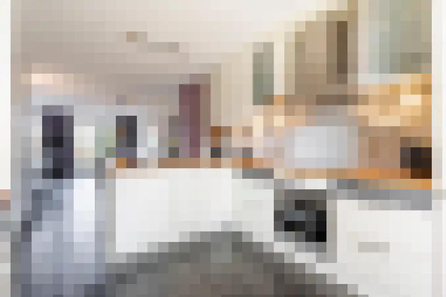 Dreesstraat 19 Hardinxveld-Giessendam thumbnail 8