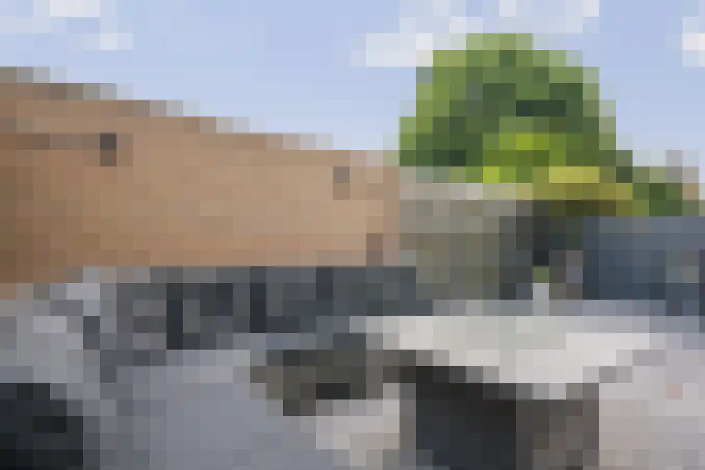 Dreesstraat 4 Assen thumbnail 25