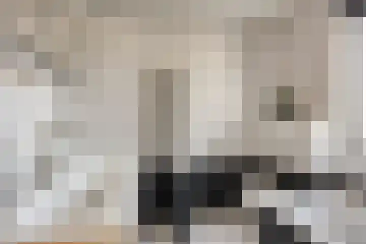 Dreeuwing 38 Gieten thumbnail 25