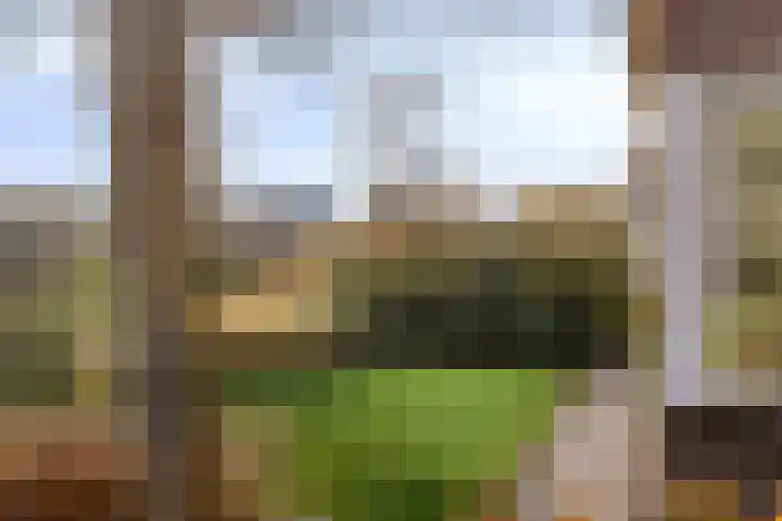Dreeuwing 38 Gieten thumbnail 38
