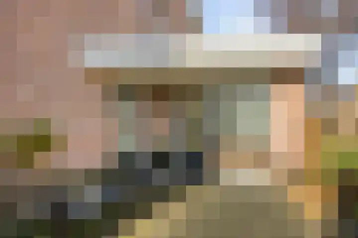 Dreeuwing 38 Gieten thumbnail 4
