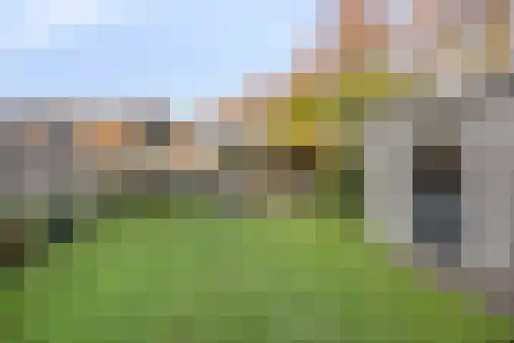 Dreeuwing 38 Gieten thumbnail 41