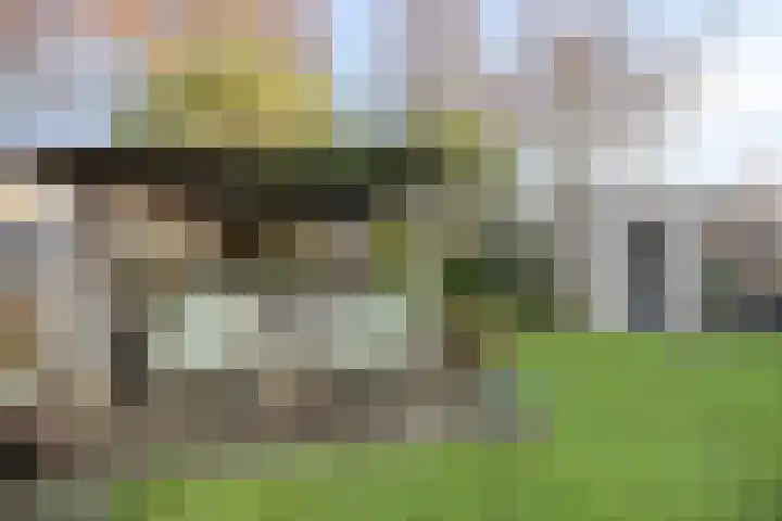 Dreeuwing 38 Gieten thumbnail 43