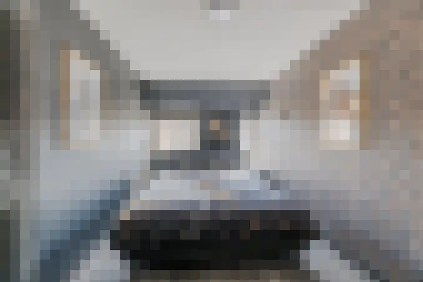 Dreischorstraat 26 Tilburg thumbnail 14