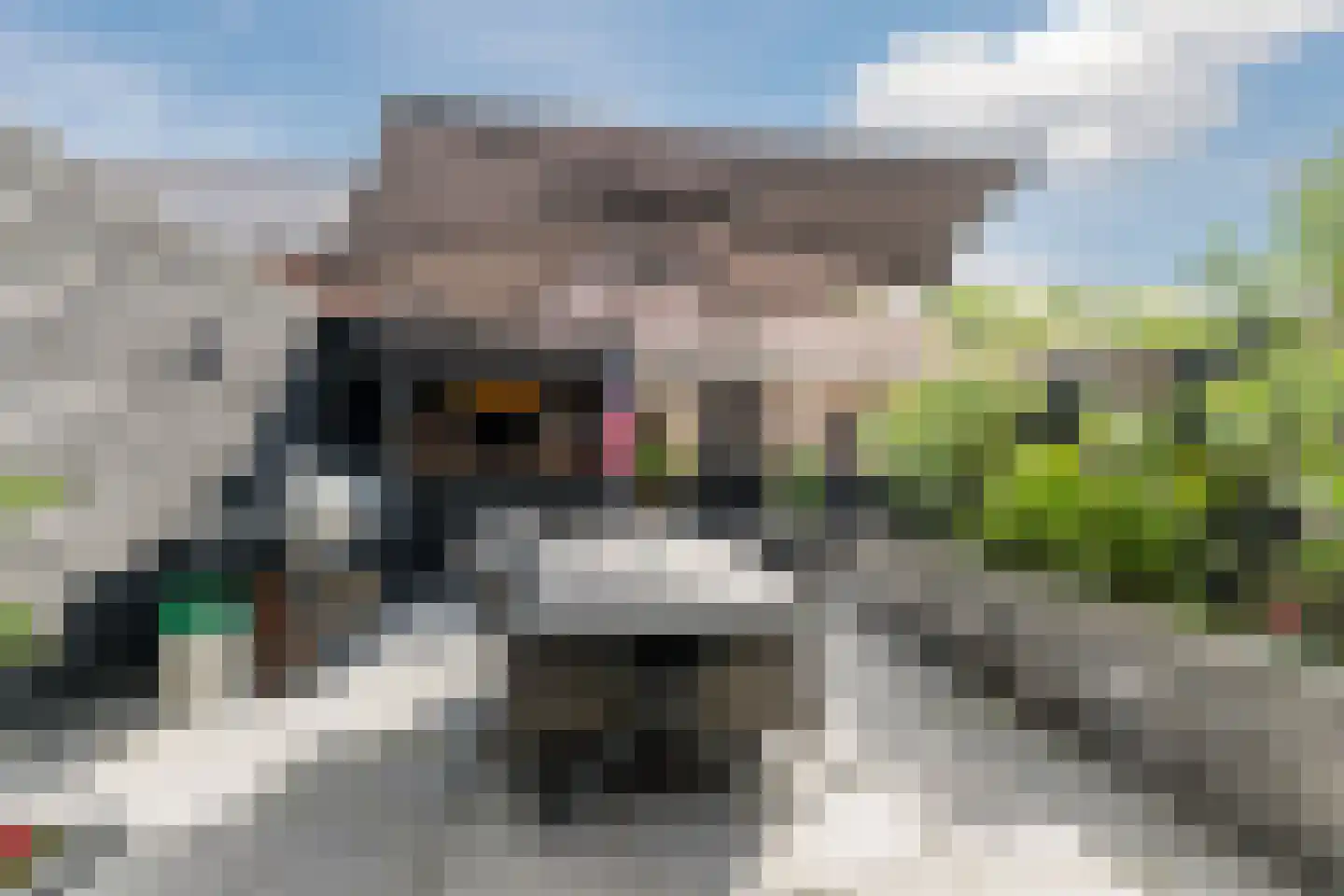 Dreischorstraat 26 Tilburg thumbnail 30
