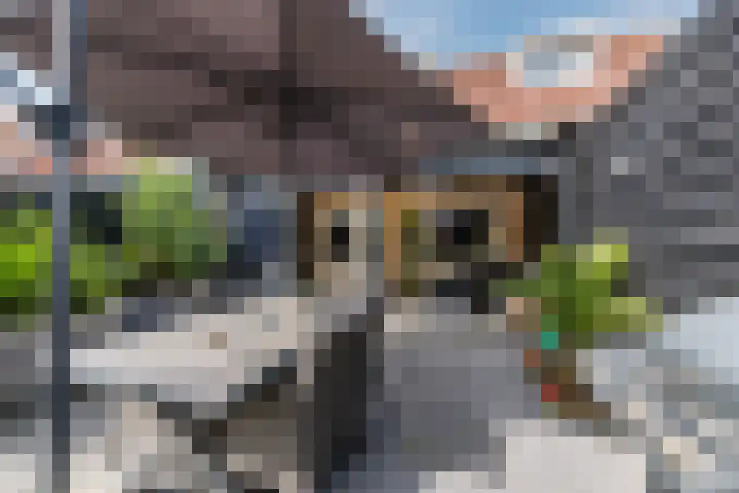 Dreischorstraat 26 Tilburg thumbnail 33