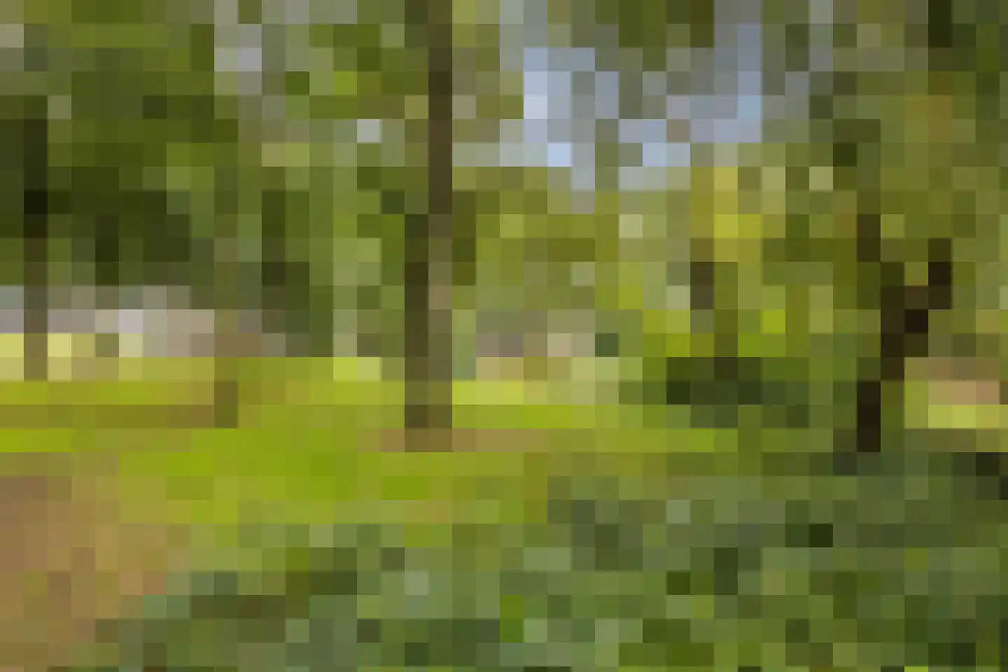 Dreischorstraat 26 Tilburg thumbnail 39