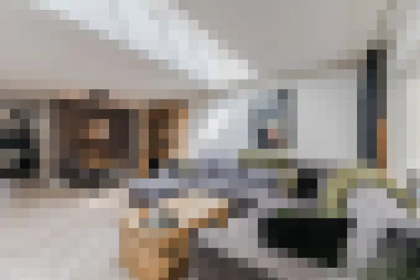 Dreischorstraat 26 Tilburg thumbnail 4