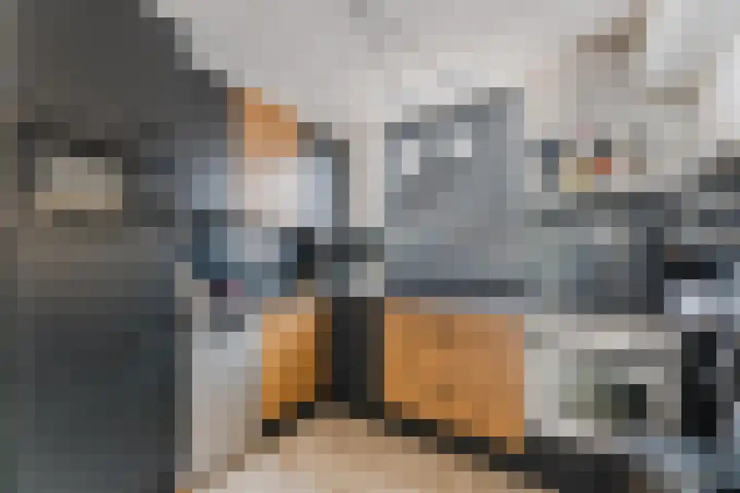 Dreischorstraat 26 Tilburg thumbnail 9