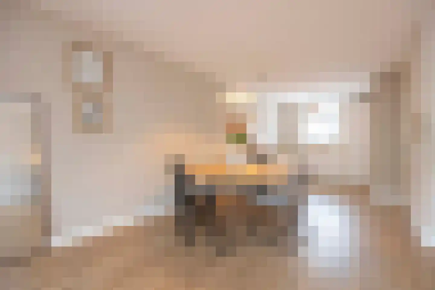 Dreischorstraat 39 Tilburg thumbnail 13