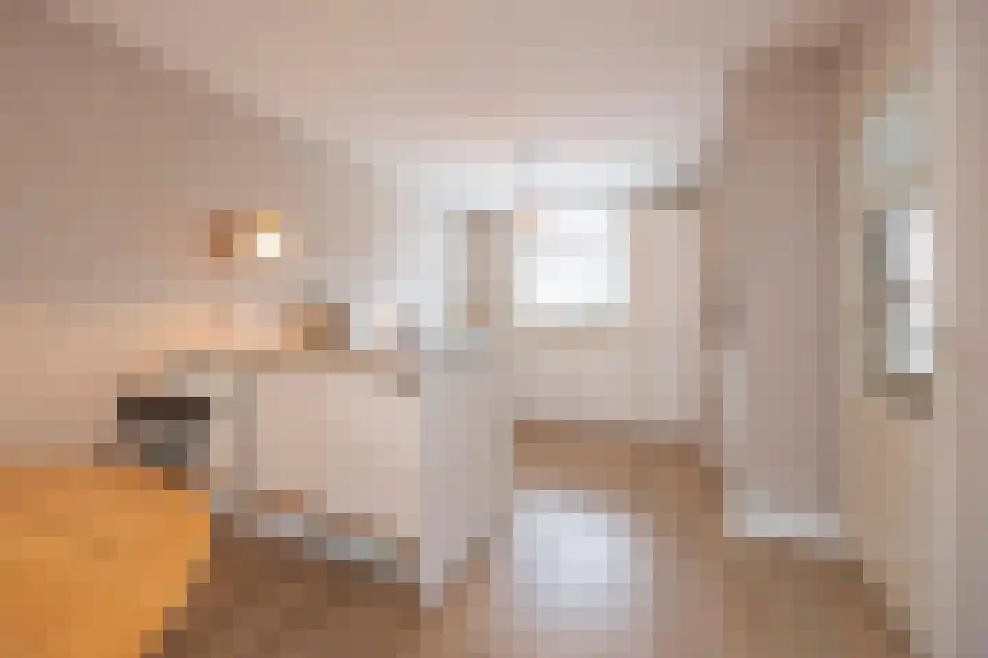 Dreischorstraat 39 Tilburg thumbnail 14