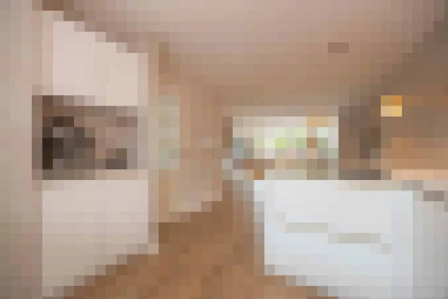 Dreischorstraat 39 Tilburg thumbnail 15
