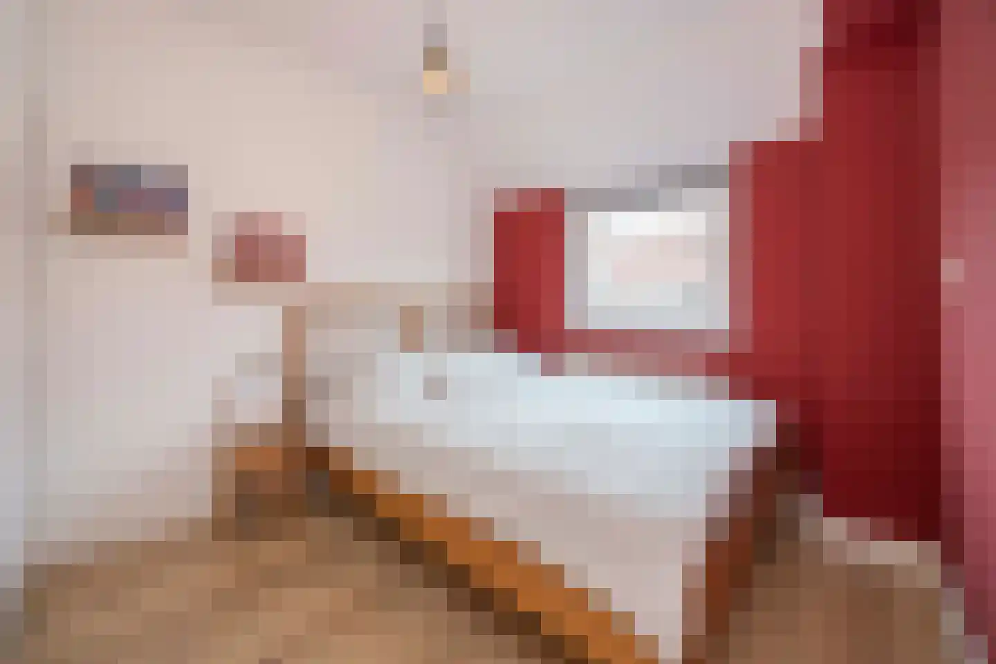 Dreischorstraat 39 Tilburg thumbnail 21
